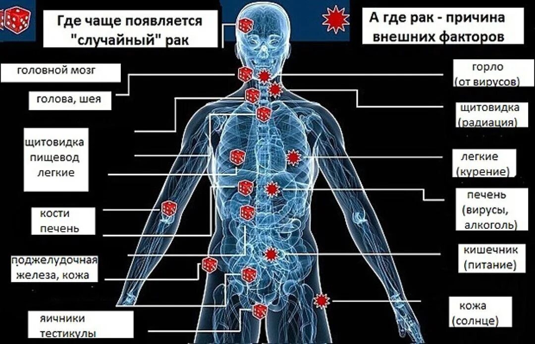 Опухолевые заболевания. Разновидности онкологии. Формы онкологических заболеваний. Раковые заболевания виды. В данной области можно быть