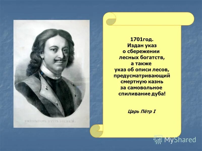 Указ Петра i. Законы Петра первого. Указ Петра 1 о лесах. Год молодежи указ