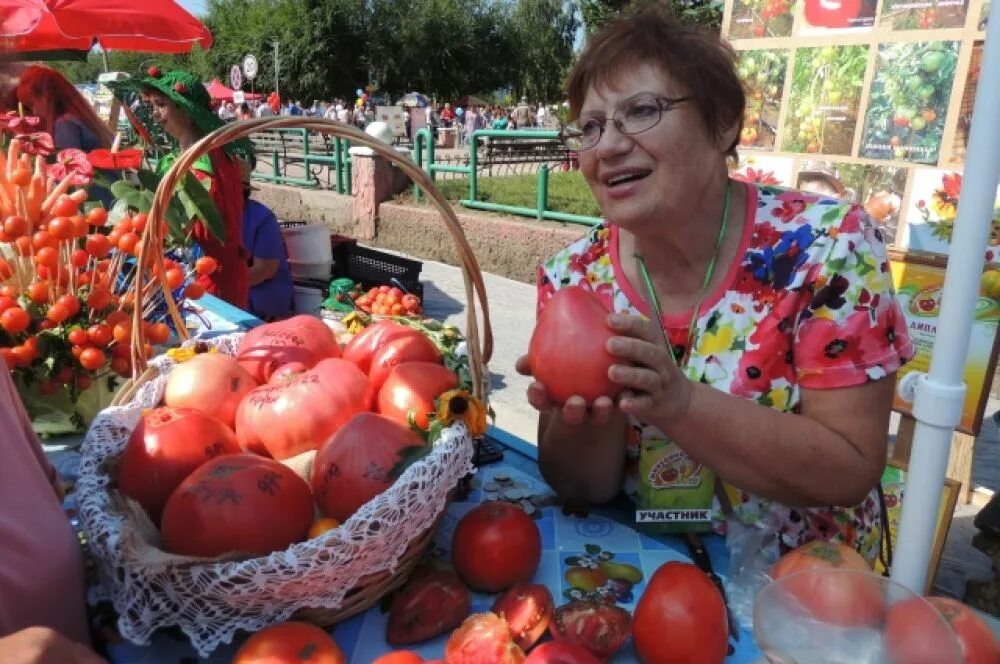 "Тайны красных сокровищ: УДИВИТЕЛЬНЫЕ факты о помидорах, которые вы никогда не с