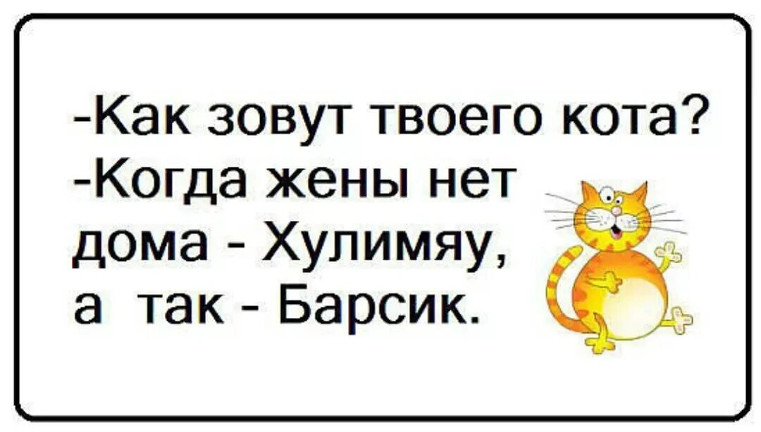 Зовут мяу. Как зовут твоего кота Хулимяу. Как зовут вашего кота анекдот. Как зовут твоего кота когда жены нет дома. Как зовут.