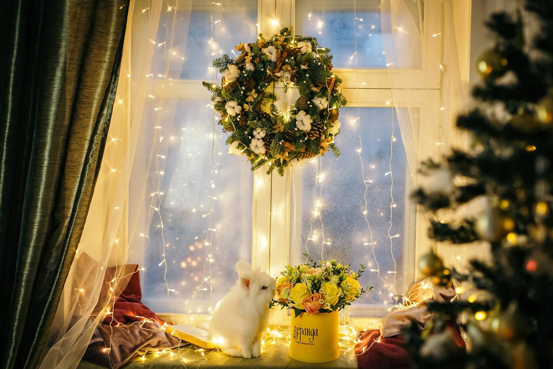 окно в новый год. окно в новый год. новогодние окна. зимнее окно. сказочные окна на новый год.