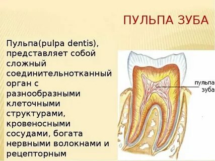 Для пульпы характерно