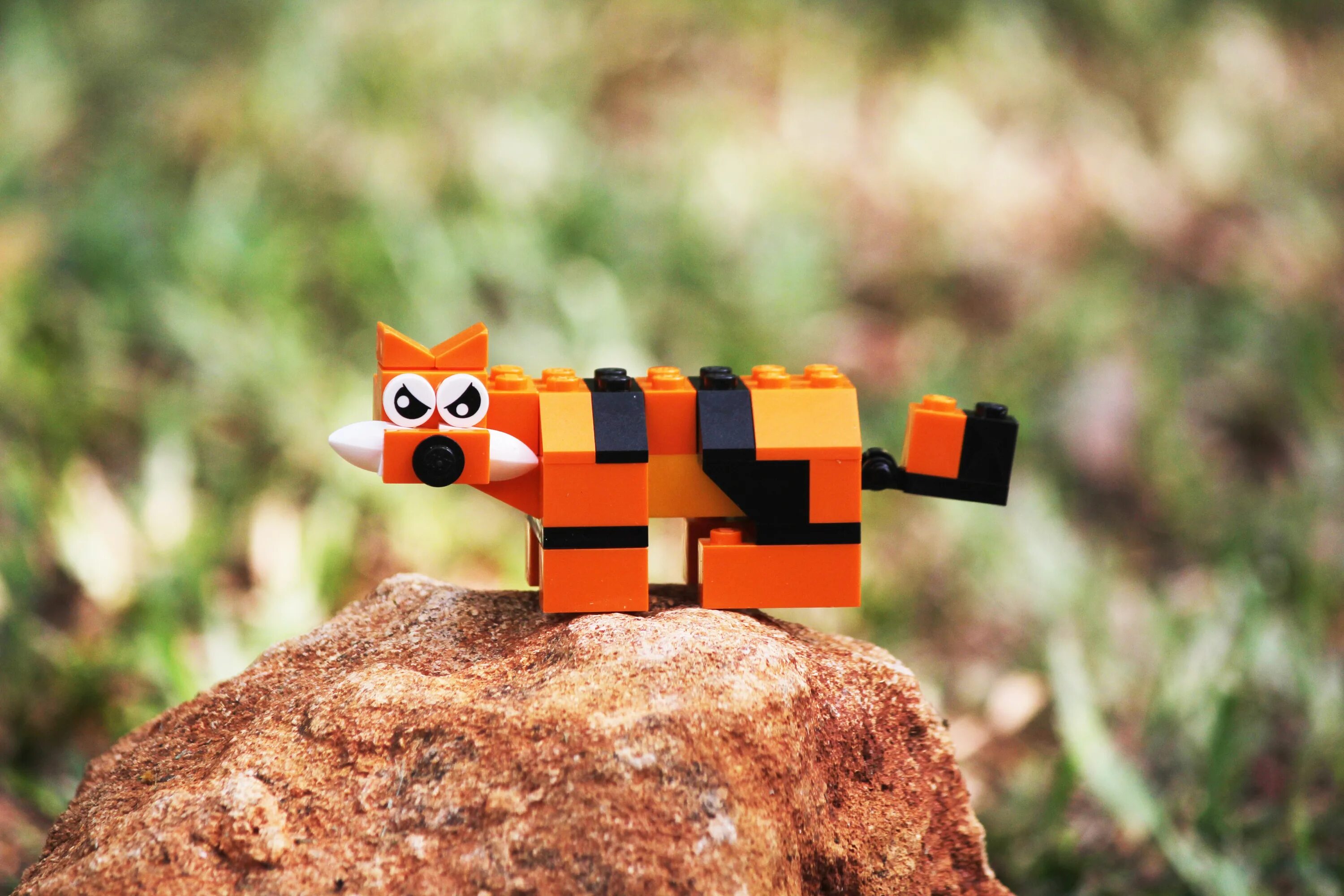 Build animals