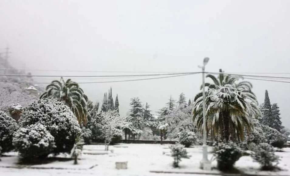 Абхазия погода на неделю сухуми. Гагра зима 2022. Абхазия Гагры зима. Гагра зимой. Гагра снег.