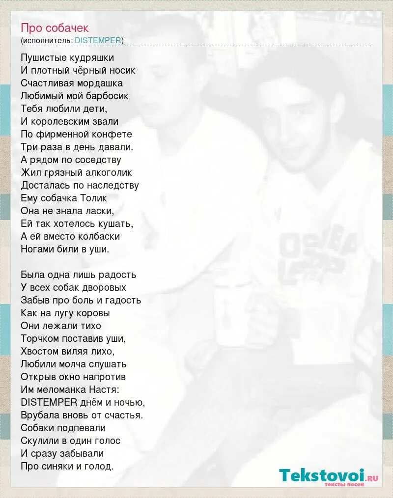 Текст песни про собаку. Песня не дразните собак. Собака бывает кусачей текст. Песенка про собаку текст. Слова не дразните собак не гоняйте кошек.