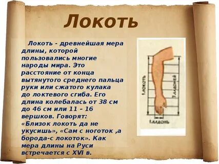 Какая длина и вес