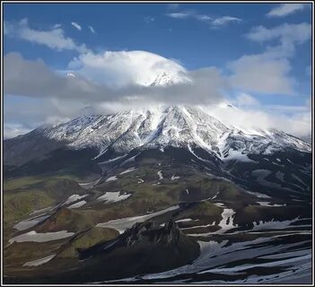 Участок камчатка