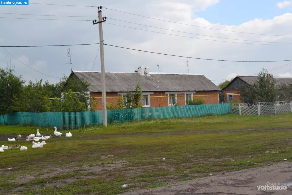 Деревня шульгино. Карпели тамбовская область. Село шульгино тамбовская область. Село шульгино тамбовская область. Село гавриловка 2 тамбовская область.