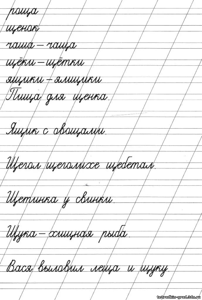 Прописи предложения распечатать бесплатное Иллюстрация 1 из 13 для Первые слова. 5-6 лет. Прописи с заданиями для дошкольни