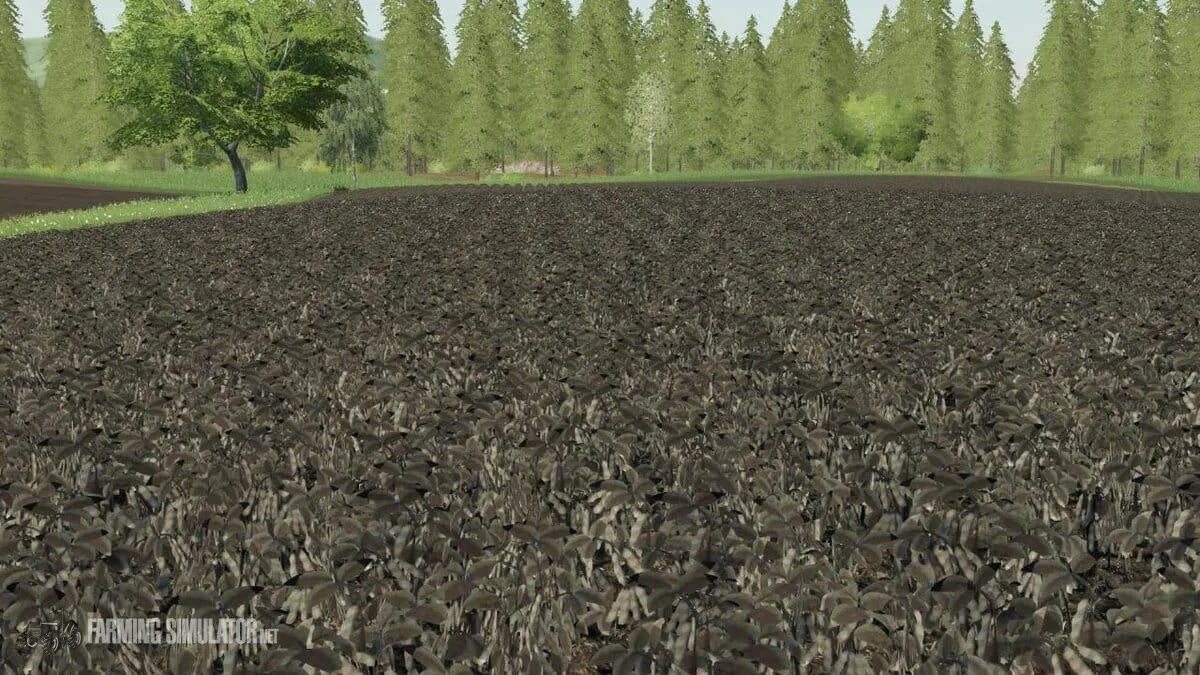 Текстур симулятор. Farming Simulator 17 Чернобыль. Соя в ФС 15. Соя Farming Simulator 19. Текстуры сои для Farming Simulator 2019.