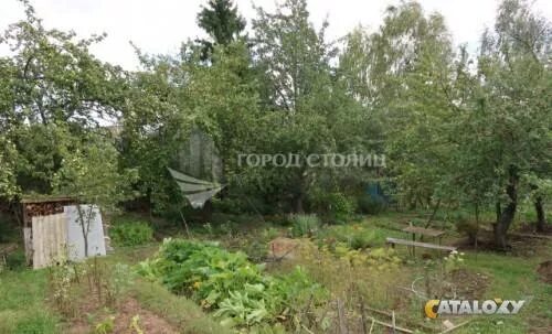 Земли снт сколько стоят. Земли снт сколько стоят. Снт подъем тюмень. Лобаново (наро-фоминский район). Земли снт сколько стоят.