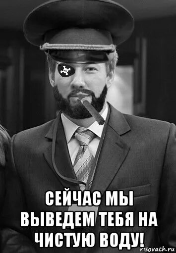 Как вывести человека на чистую. Вывел на чистую воду. Мы выведем на чистую воду. Вывести всех на чистую воду. Вывести на чистую воду картинки.