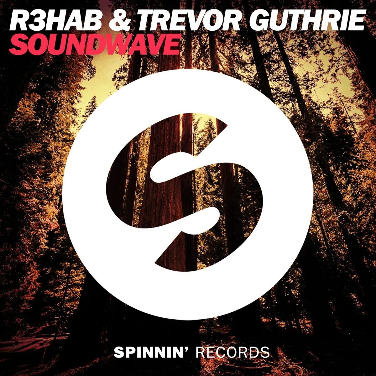 R3hab. Trevor Guthrie. Spinnin records. R3hab Remix.