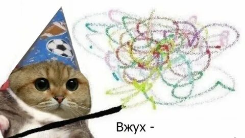 Коте вжух