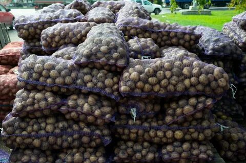 Рынок картофеля