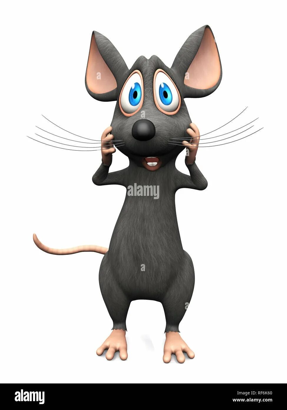 Удивленная мышь. Удивлённая крыса. Крыса выглядывает. Удивленная мышь. Мордочка крысы.