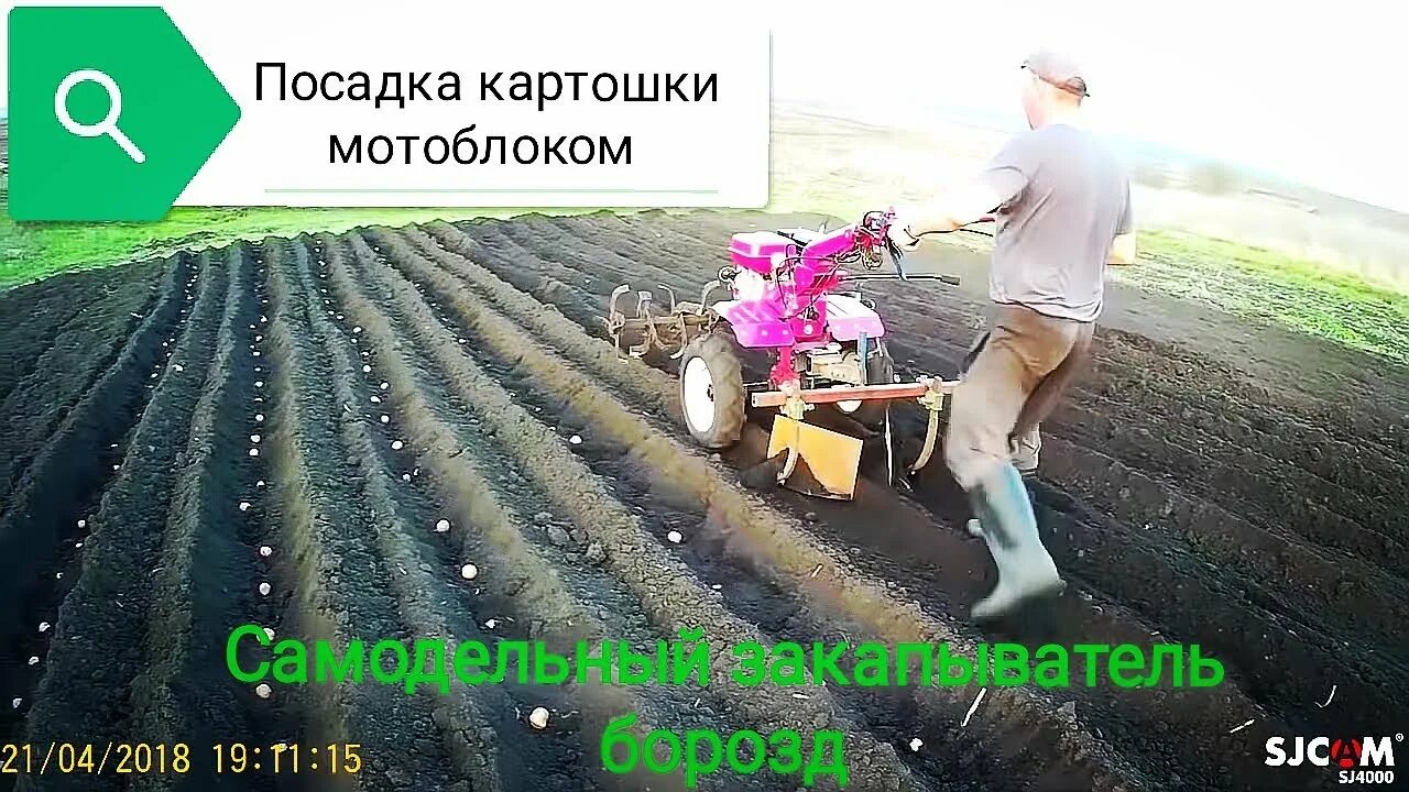 Как садить картошку мотоблоком с окучником. Посадка картошки мотоблоком. сажать картошку мотоблоком. посадка картофеля под мотоблок.