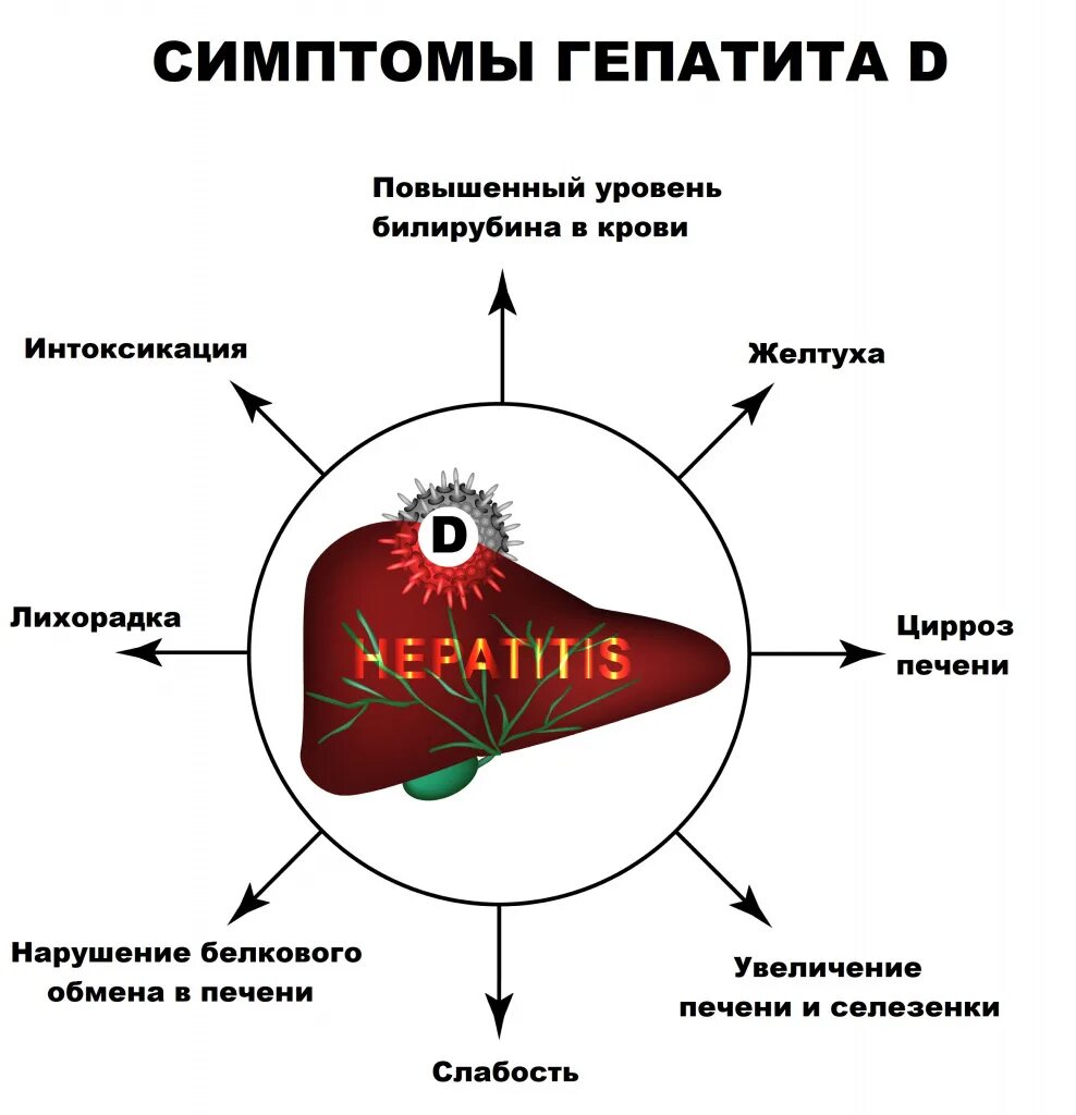 Схема заражения человека вирусным гепатитом. Гепатит д пути передачи. Заражение вирусом гепатита а схема. Пути заражения вирусным гепатитом д. Гепатит б пути заражения