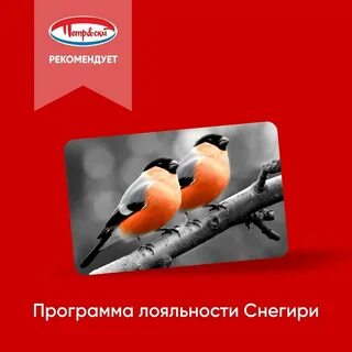 Сайт снегири архангельск