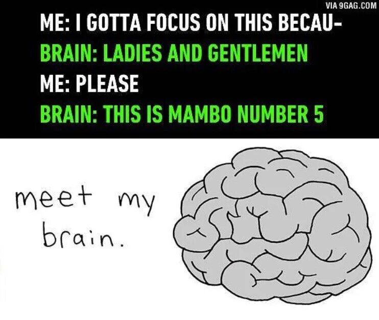 Me and my brain. My Brain. What's in my Brain шаблон. What's in my Brain картинка. Мозг на весах.