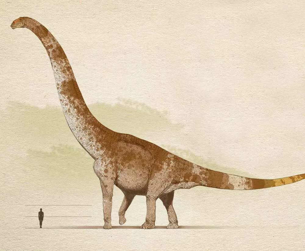 HOME Alonsopaleo Prehistoric animals, Dinosaur art, Ancient animals