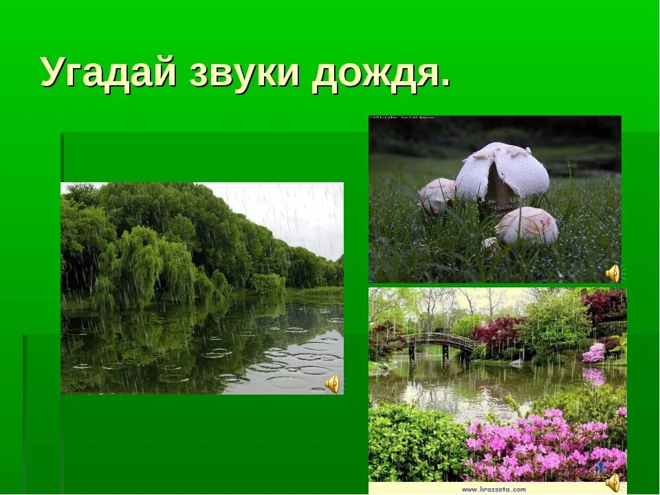 Какие бывают дожди 3 класс. Какие бывают дожди рассказ. Дождик ситничек. Презентация какие бывают дожди. Паустовский "какие бывают дожди" ".