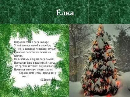 На опушке леса росла елка