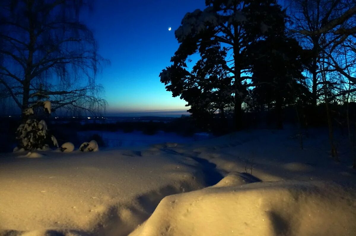 Зима ночь. Ночь зимой. Зимний ночной пейзаж. Зимний лес ночью.