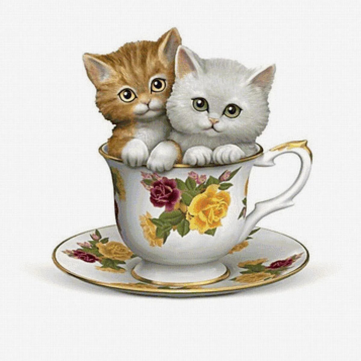 Красивые открытки с добрым утром с котиками