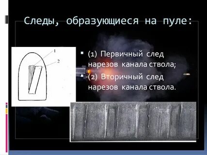 Наличие след