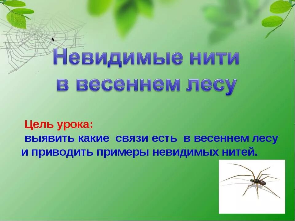 Невидимые нити в весеннем лесу. Невидимая нить. Невидимые связи в весеннем лесу. Невидимые нити в весеннем лесу 2. Схема невидимых нитей в весеннем лесу