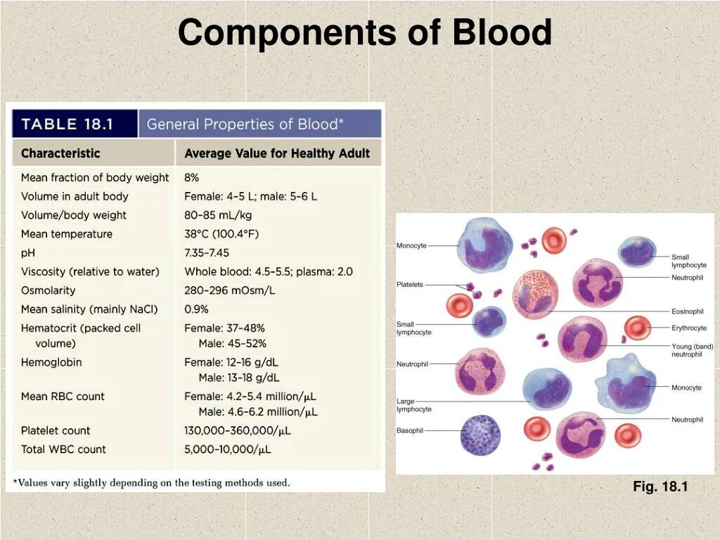 Blood components. Blood Cells and their functions. Property Blood. Main components of Blood.