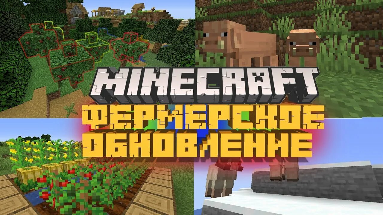 Что добавят в следующем обновлении