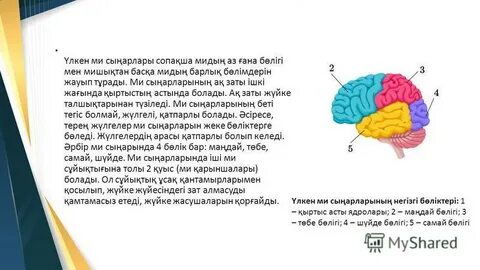 Порно, тек орыс порносы