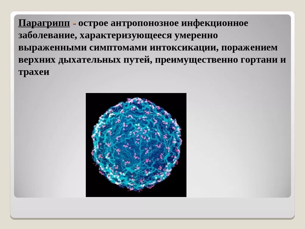 Парагрипп 4 типа. Парагрипп возбудитель. парагрипп возбудитель болезни. вирус парагрипп презентация. парагрипп у детей возбудитель.