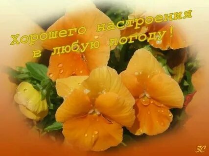 Отличная любых
