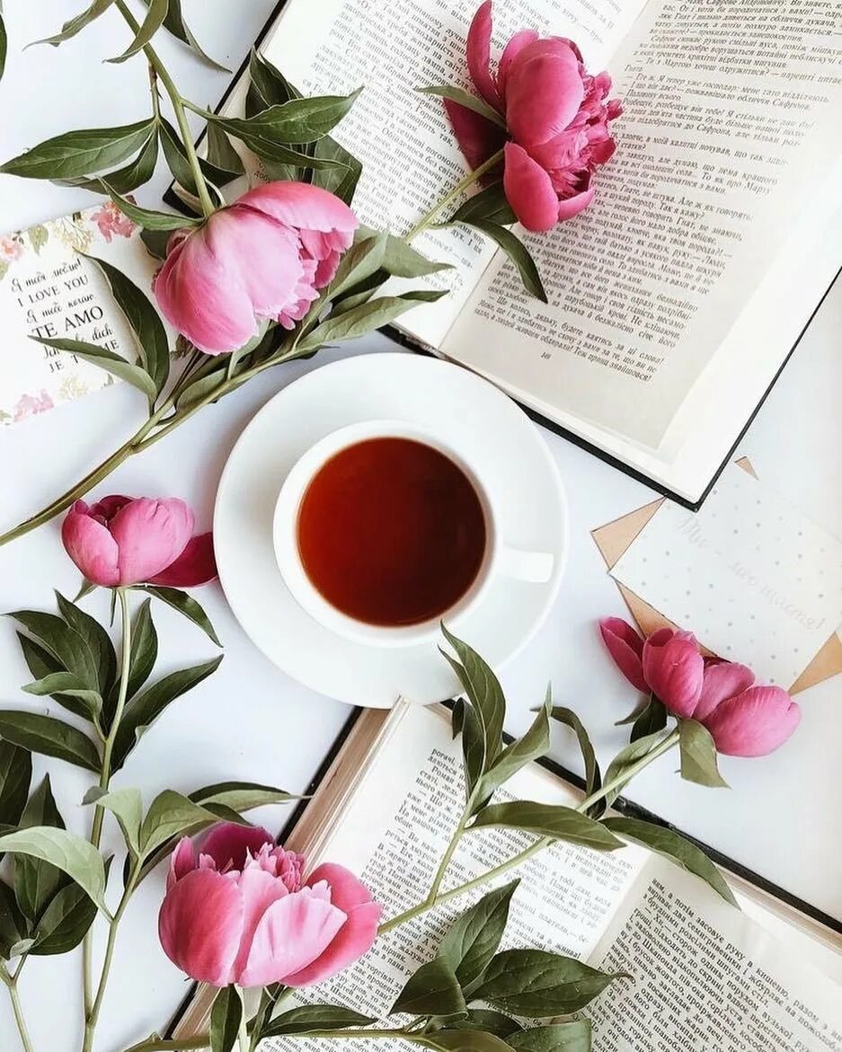 Потайя. Пионы флэтлэй. Книга цветы. Книга кофе цветы. Кофе и цветы.