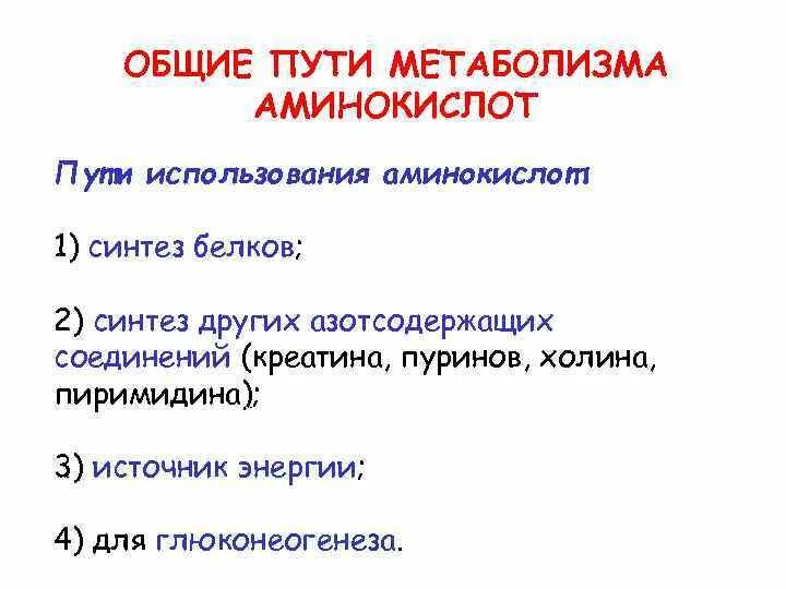 Общие пути метаболизма аминокислот. Метаболические превращения -аминокислот в организме. Реакции метаболизма аминокислот. Метаболизм аминокислот биохимия.