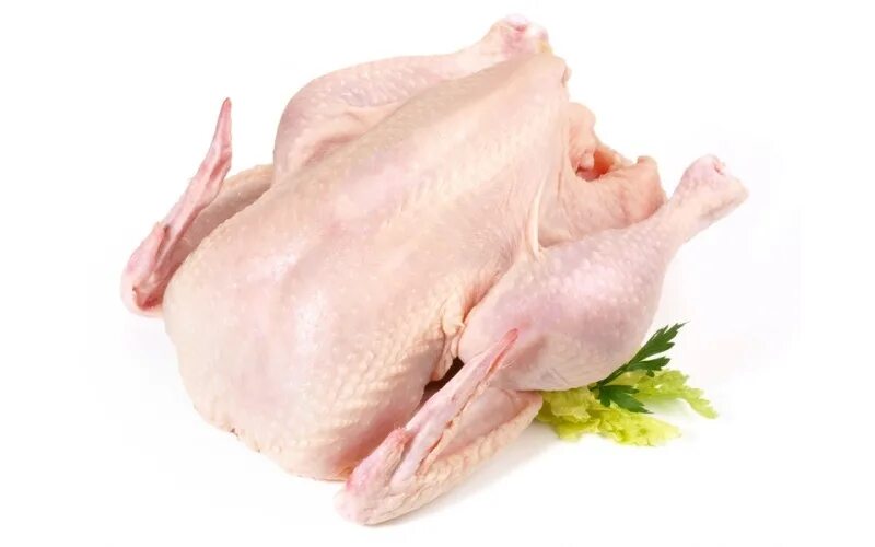 Курица мясо. Тушка цыпленка. Курица сырая. Куриная тушка на белом фоне.