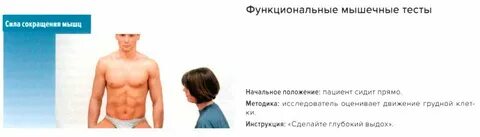 Тест мышечной силы