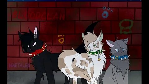Blood clan