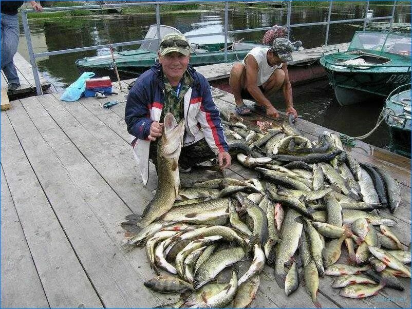 Рыболовство на Волге. Рыба в Волге. Река Волга рыбалка. Рыбный улов на Волге. Большая рыбалка вконтакте