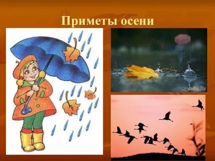 Рисунки приметы