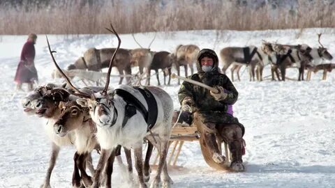 Хмао салом