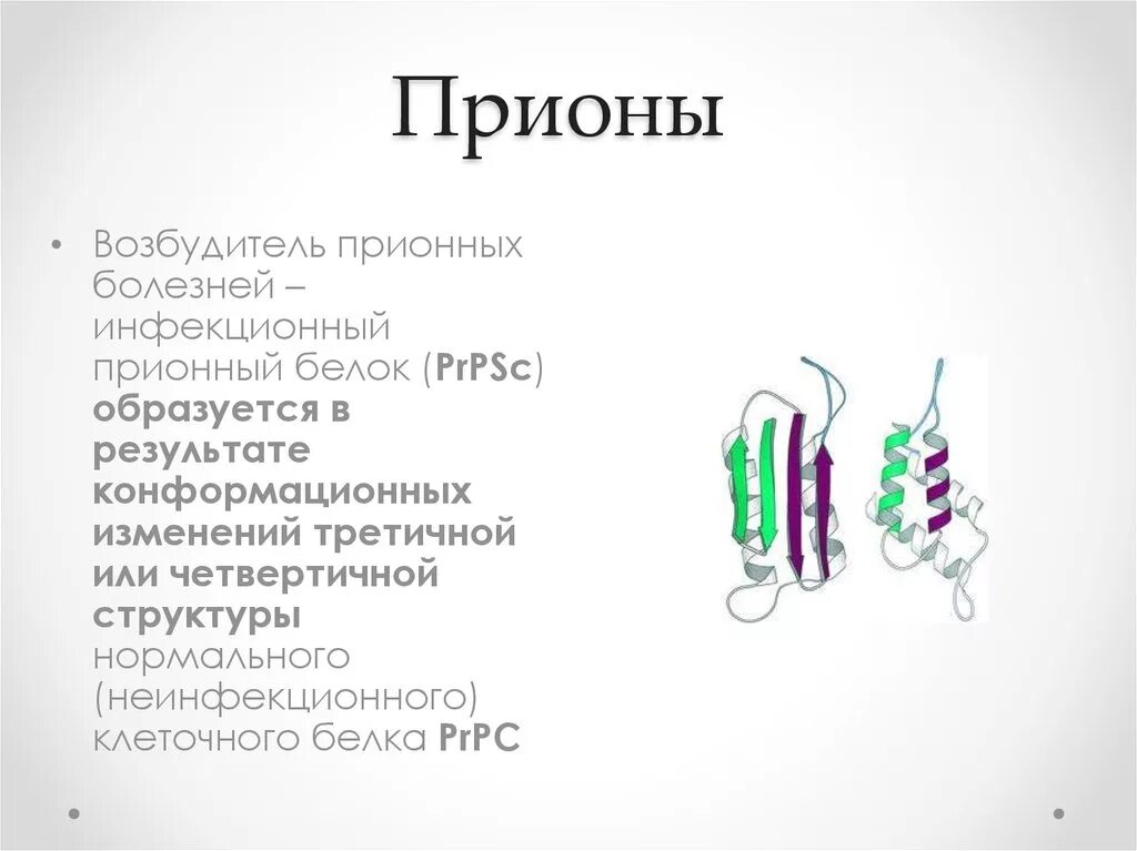 Белковая болезнь. Морфология и строение прионов. Структура прионов. Прионыморфология микробиология. Прион строение.