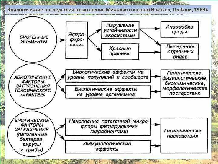 Экологические проблемы мирового океана схема