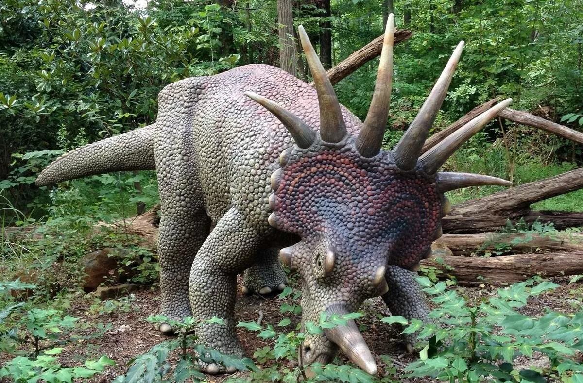 Стиракозавр Стиракозавр. Стиракозавр травоядный. Styracosaurus albertensis. Травоядный динозавр с шипами. Травоядные динозавры с шипами