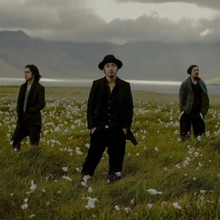 Man say only fools. Acidman. nft acidman. постер кислотник / acidman (2025).
