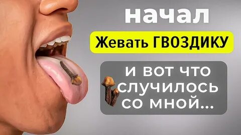 Сколько дней можно жевать гвоздику