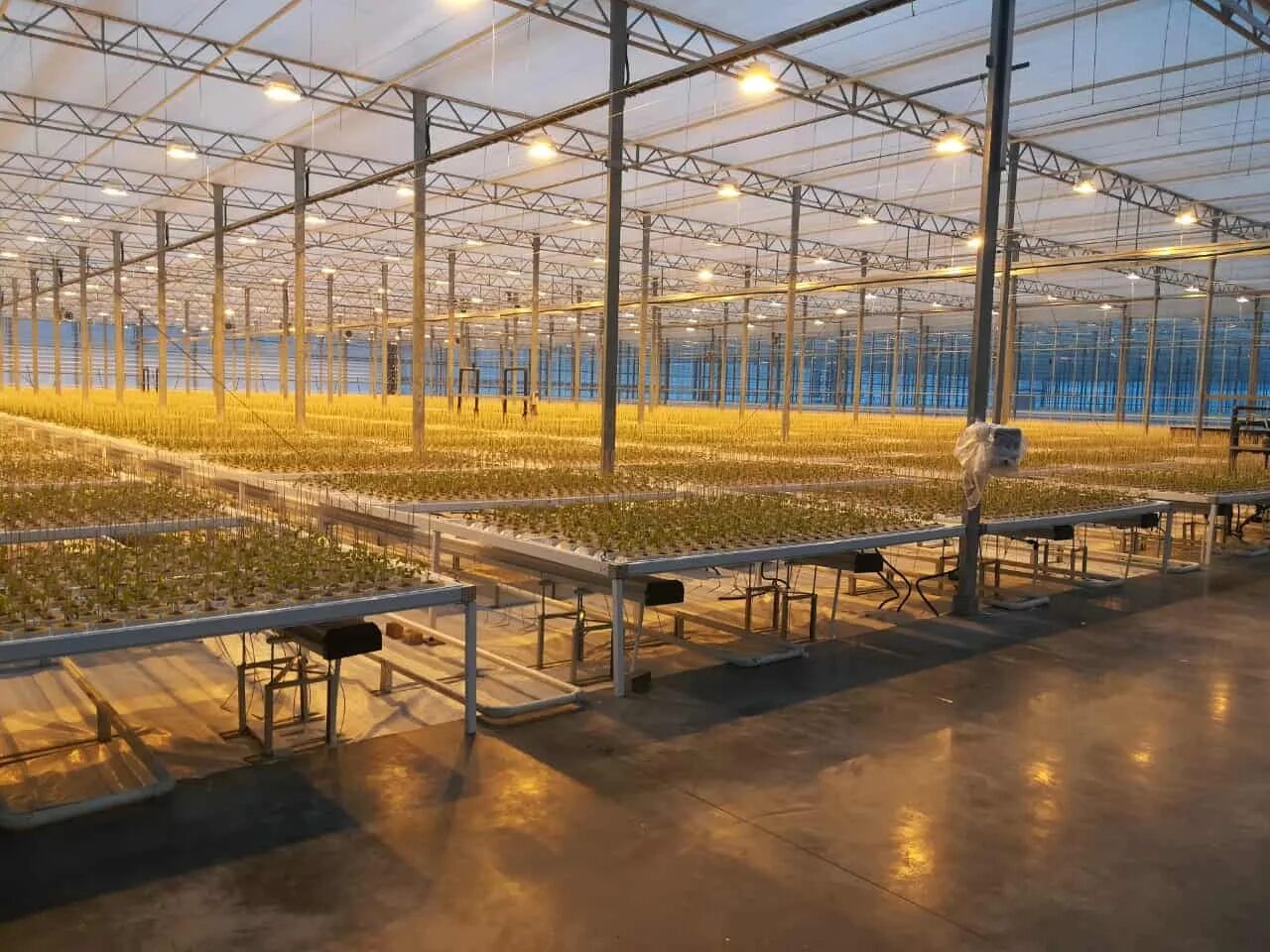 тепличный комплекс в старый оскол. тепличный комплекс иркутск рябикова. тепличный комплекс гринхаус старый оскол. тепличный комплекс семьи макаровых. тепличный комплекс семьи макаровых.